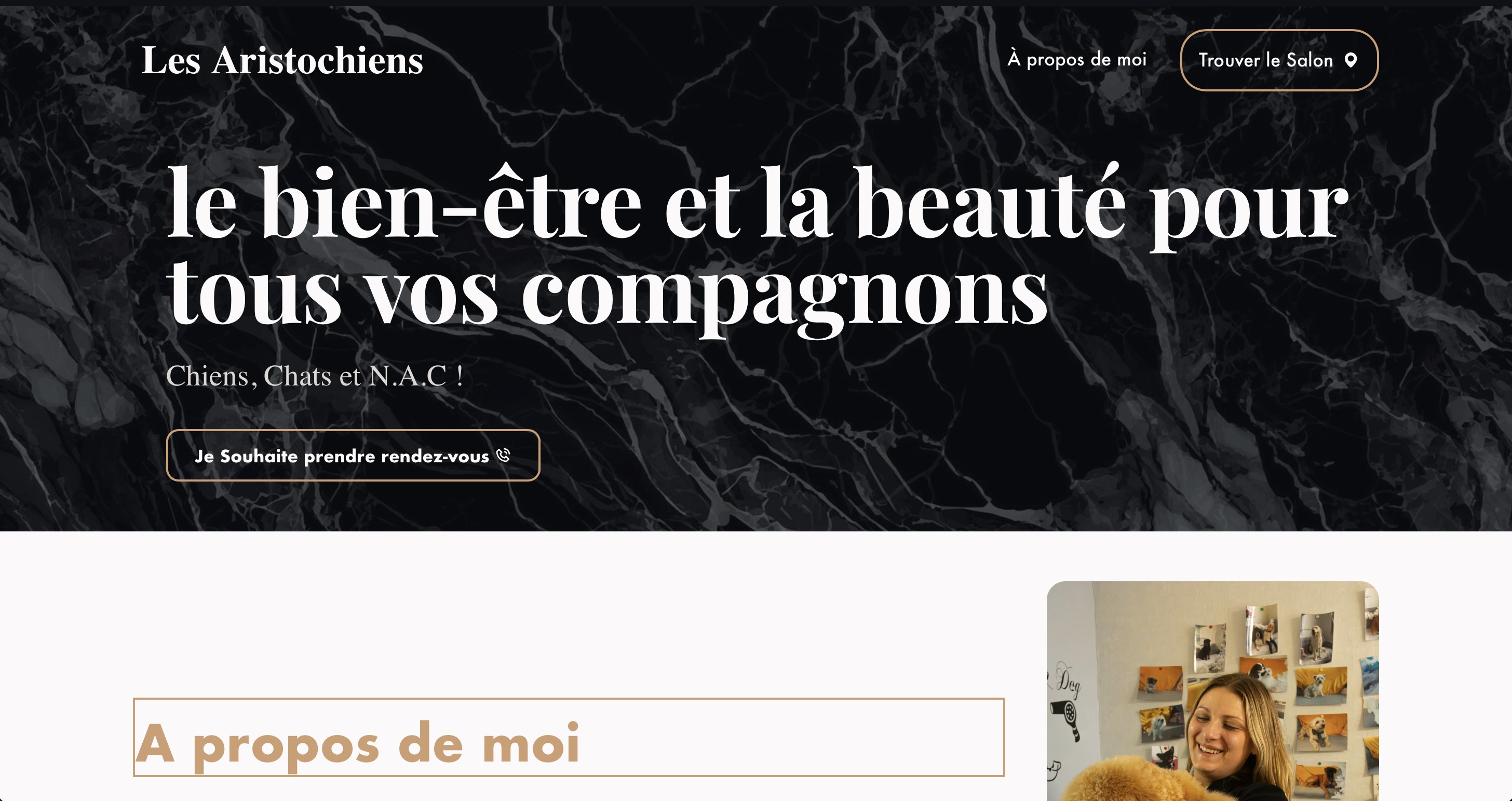 Site internet - Les Aristochiens